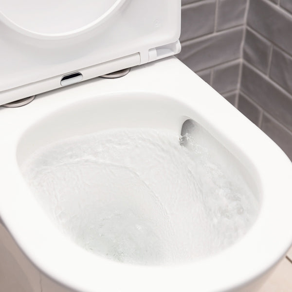 FIENZA ALUCA TORNADO FLUSH BACK TO WALL RIMLESS TOILET SUITE