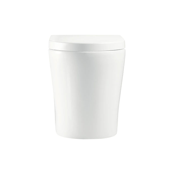 FIENZA ALUCA TORNADO FLUSH WALL FACED TOILET PAN & SEAT